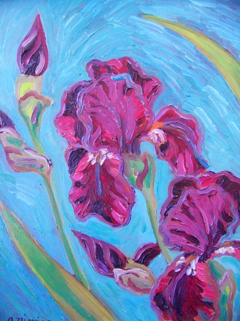 Iris Oil