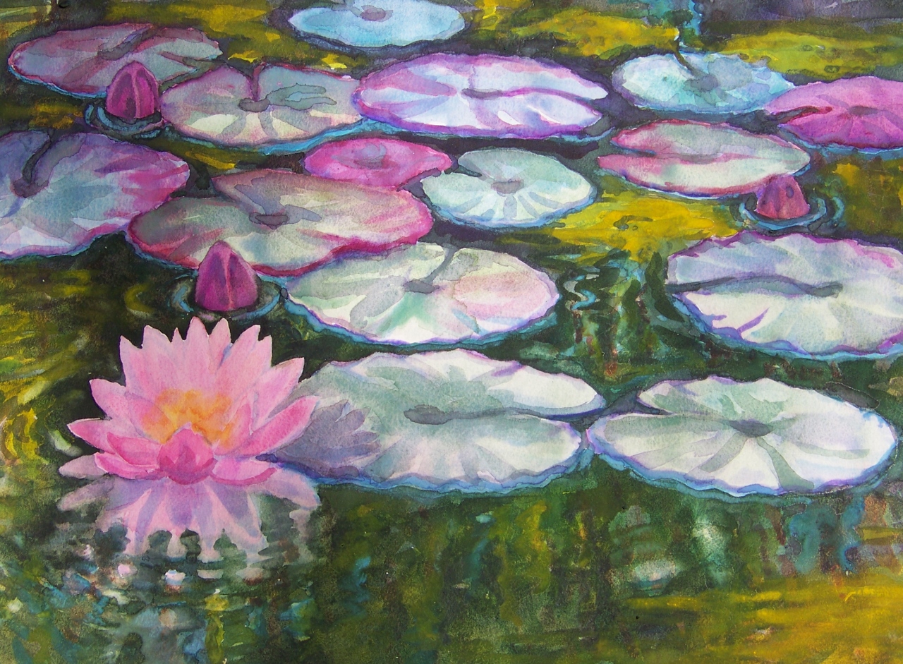 Lily pond Turtle Bay wc