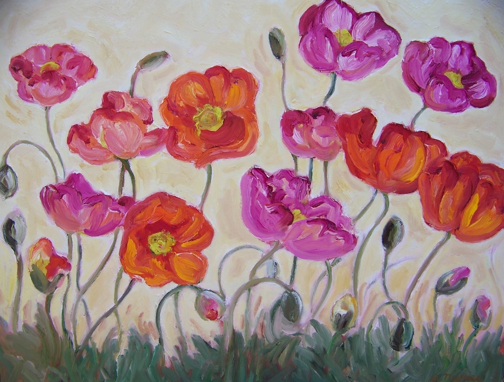 Poppies oil on board