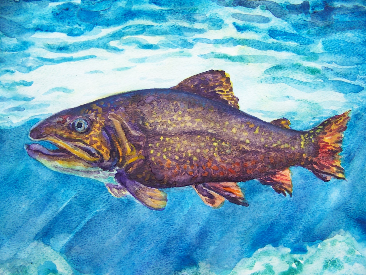 Salmon Turtle Bay wc